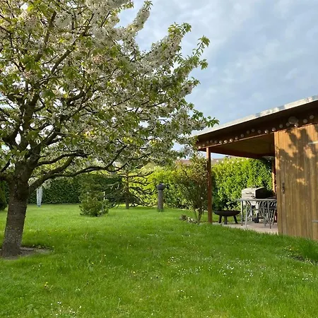 Schoene Maisonettewohnung In Der Barlachstadt * Güstrow